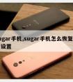 sugar手机,sugar手机怎么恢复出厂设置