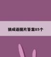 猜成语图片答案85个