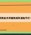 春蚕到死丝方尽蜡炬成灰泪始干打一成语