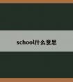 school什么意思