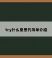 try什么意思的简单介绍