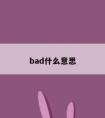 bad什么意思