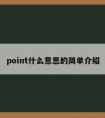 point什么意思的简单介绍