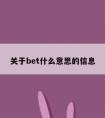 关于bet什么意思的信息