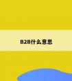 B2B什么意思