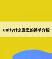 unity什么意思的简单介绍