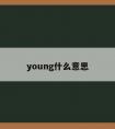 young什么意思