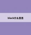 black什么意思