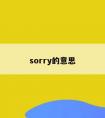 sorry的意思