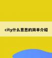 city什么意思的简单介绍