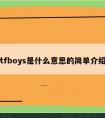 tfboys是什么意思的简单介绍