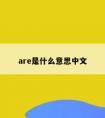 are是什么意思中文