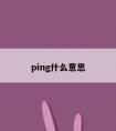 ping什么意思