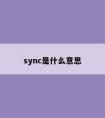 sync是什么意思