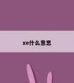 xe什么意思