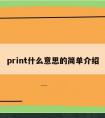 print什么意思的简单介绍