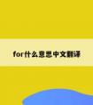 for什么意思中文翻译