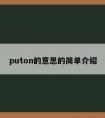 puton的意思的简单介绍