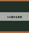 111是什么意思