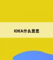 IDEA什么意思