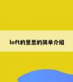 loft的意思的简单介绍