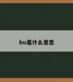 bu是什么意思