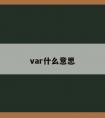 var什么意思