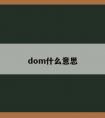 dom什么意思