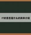 IT的意思是什么的简单介绍