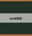 java的意思