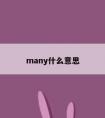 many什么意思