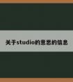 关于studio的意思的信息