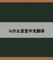 is什么意思中文翻译