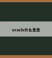 oracle什么意思