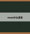 mean什么意思