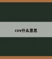 cvv什么意思