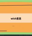 wish意思