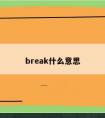 break什么意思