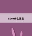 xbox什么意思