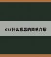 dsr什么意思的简单介绍