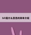 bit是什么意思的简单介绍