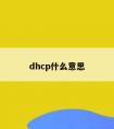 dhcp什么意思