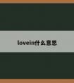 lovein什么意思