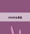 USA什么意思