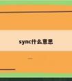 sync什么意思