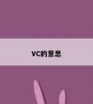 VC的意思