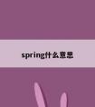 spring什么意思