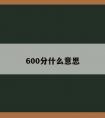 600分什么意思