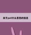 关于put什么意思的信息