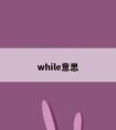 while意思